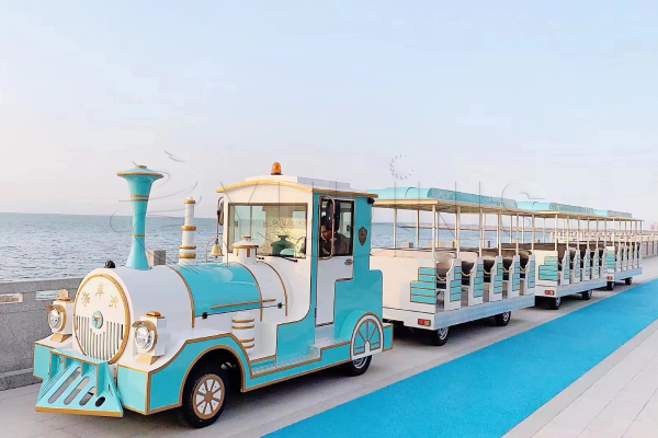 Custom Sightseeing Train Used for Seaside