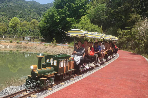 mini train ride for adults